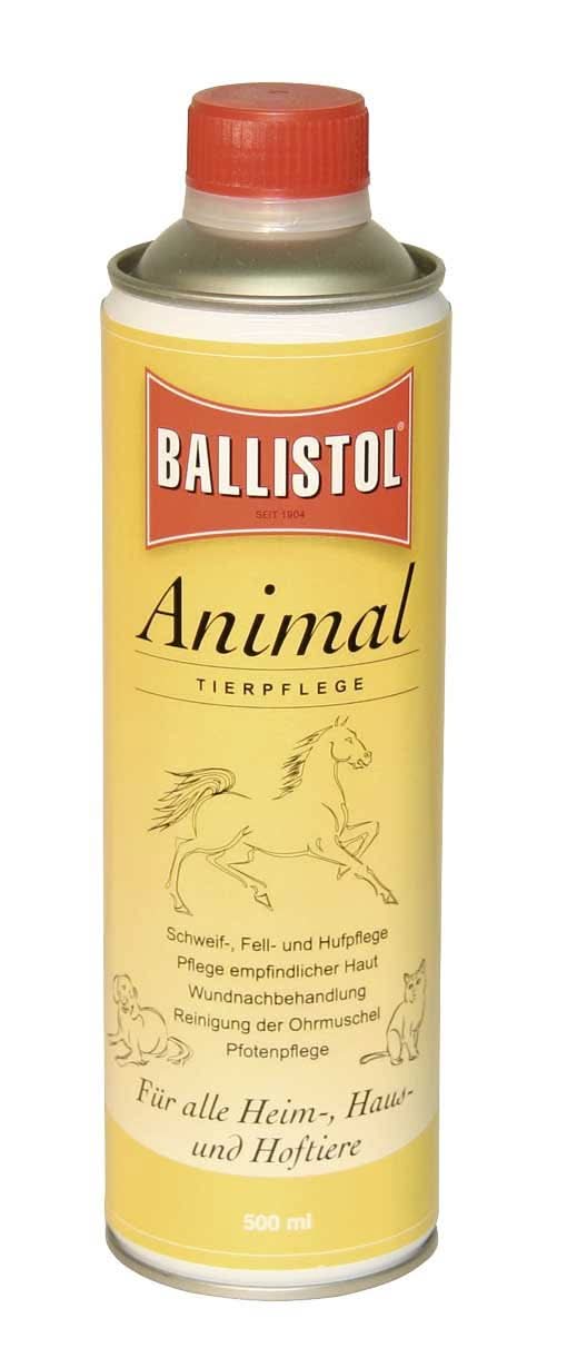 Vorschaubild 1