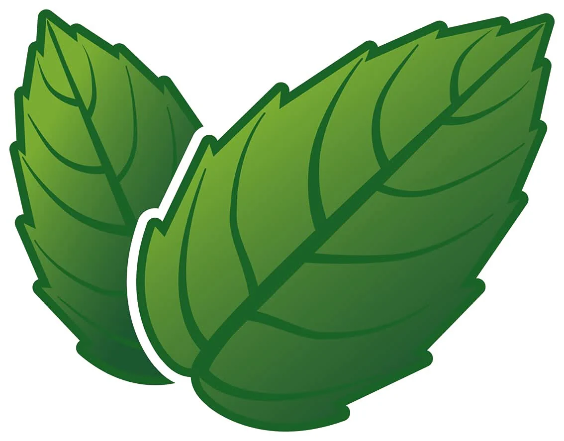 tic tac Fresh Mint 98g - Image 3