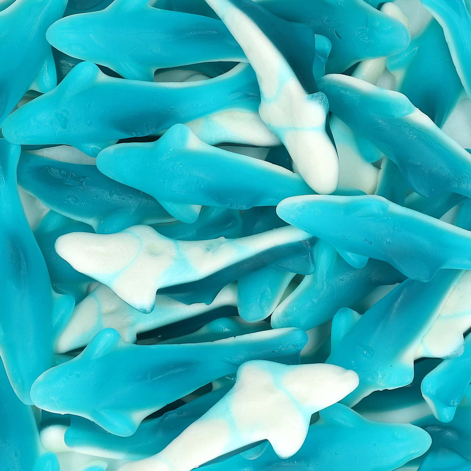 Trolli Haifisch Dose 1.2 kg - Image 2